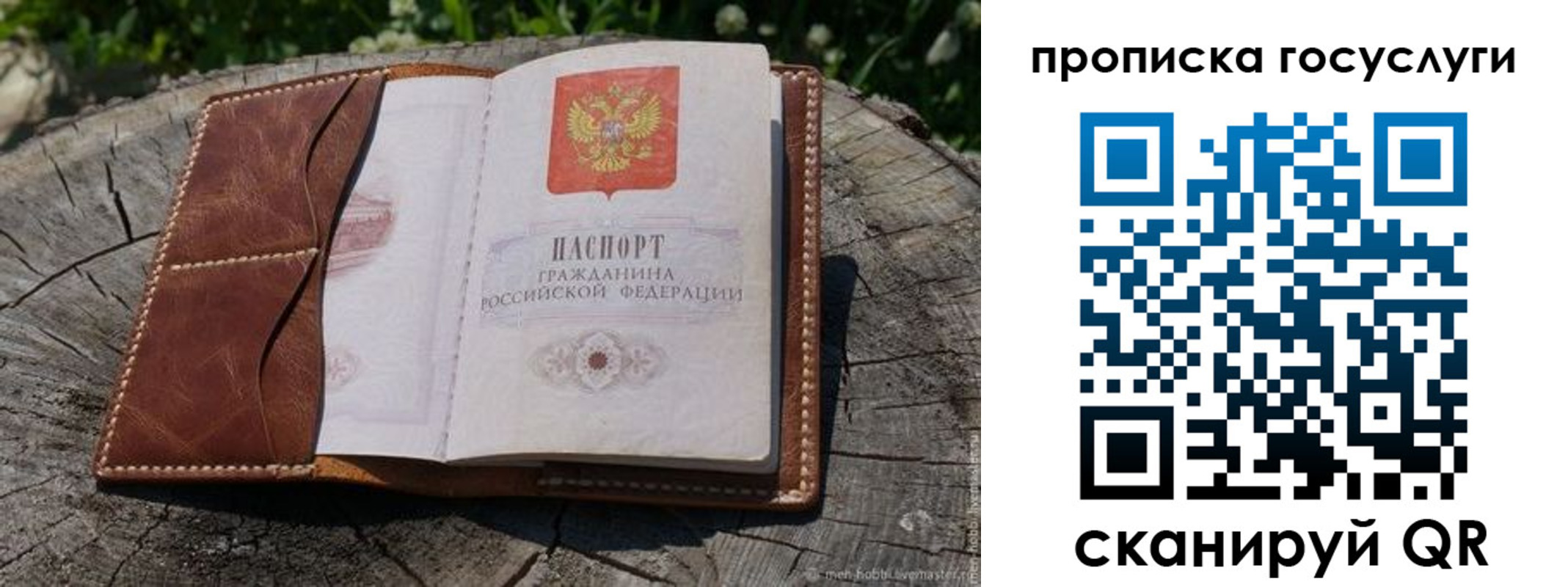 прописка для школы в Алтае